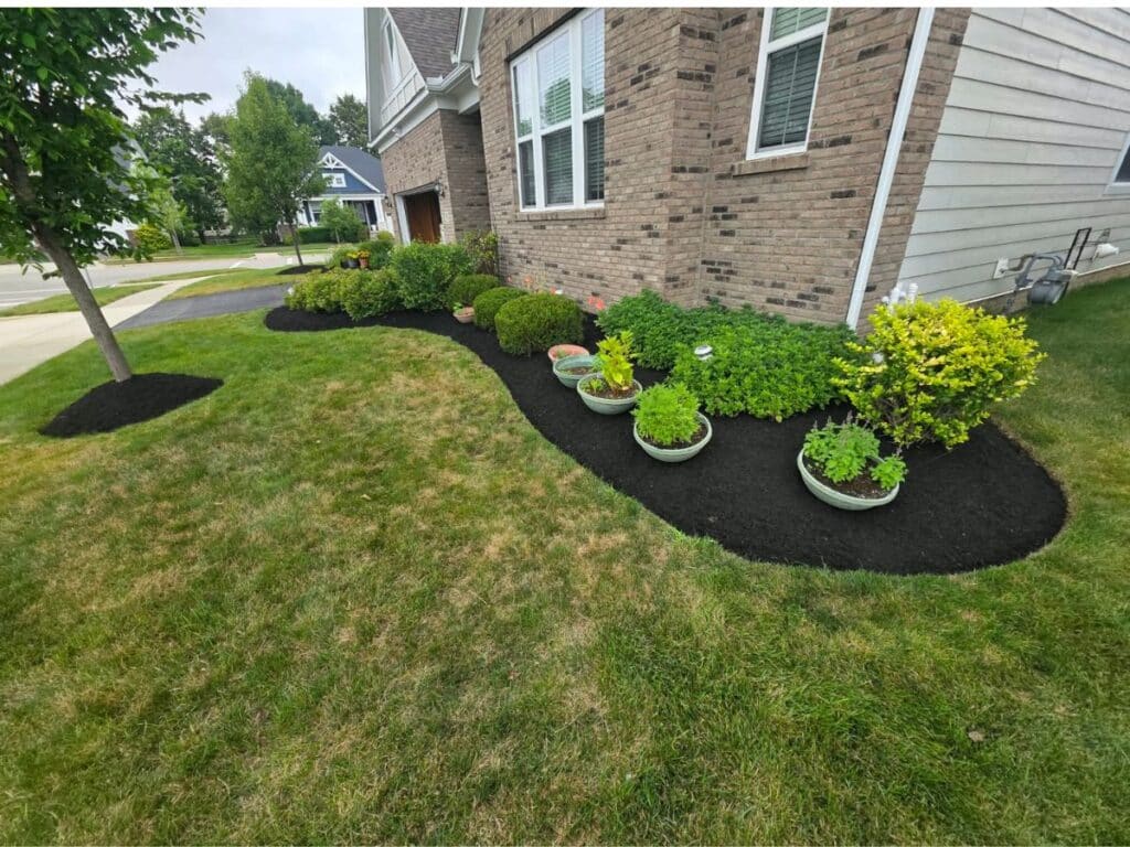 Professional mulch installation by Rendon Landscaping