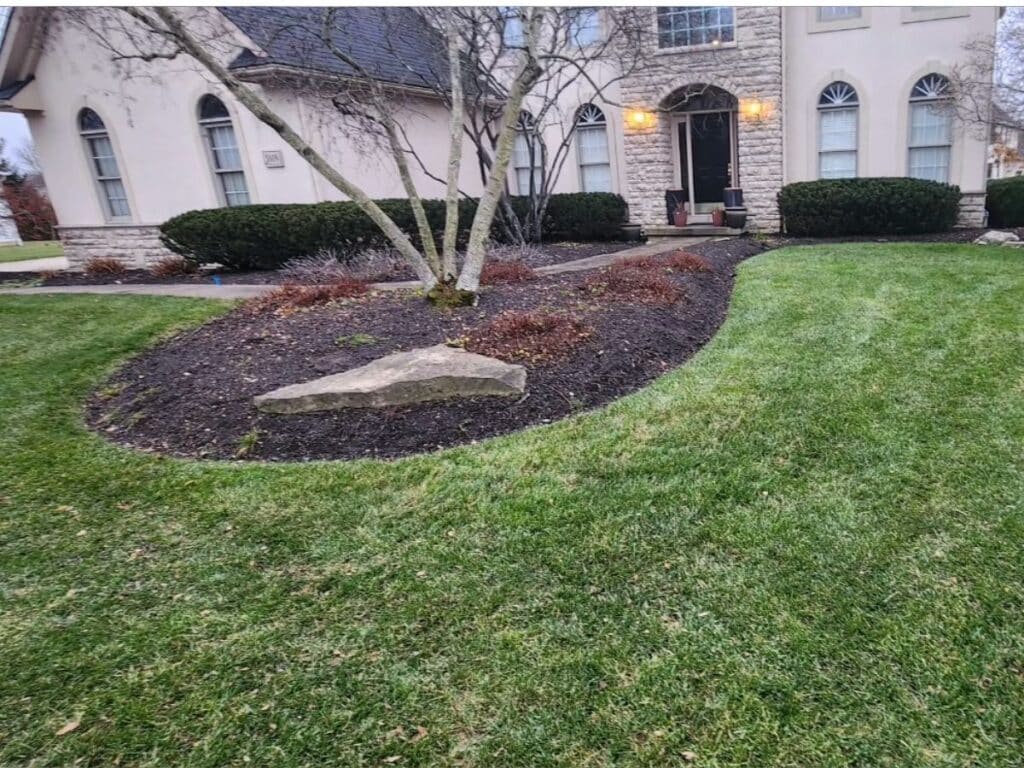 Leaf removal and fall cleanup by Rendon Landscaping